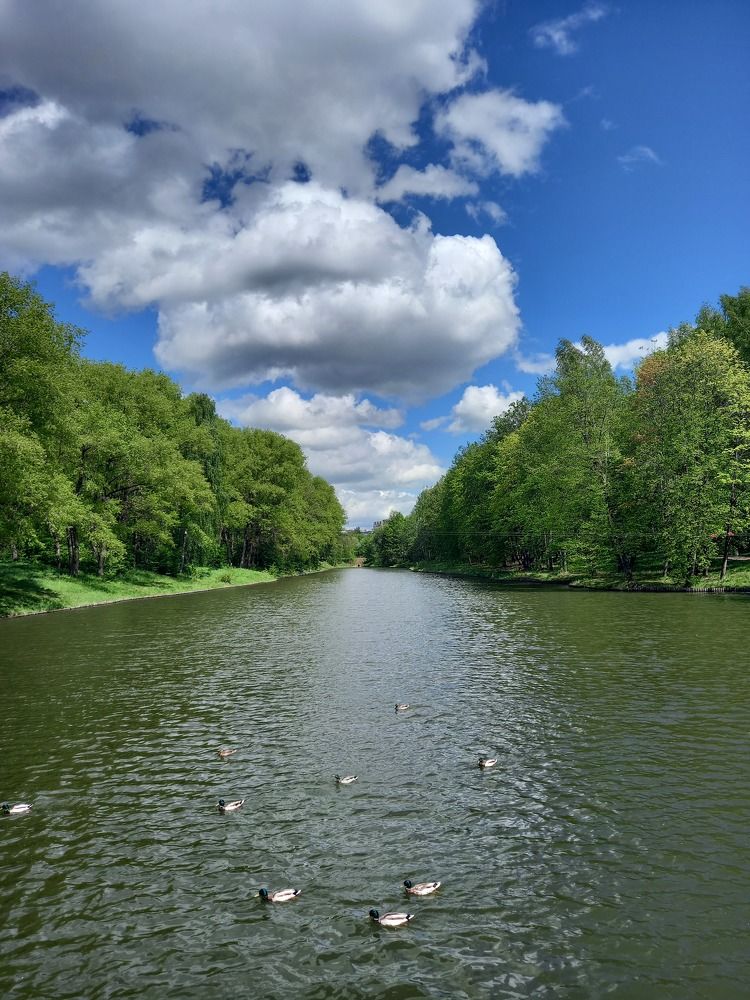 Photograph by Ольга