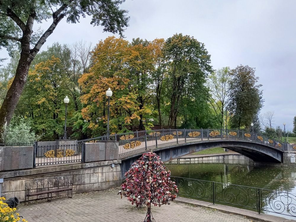 Photograph by Ольга