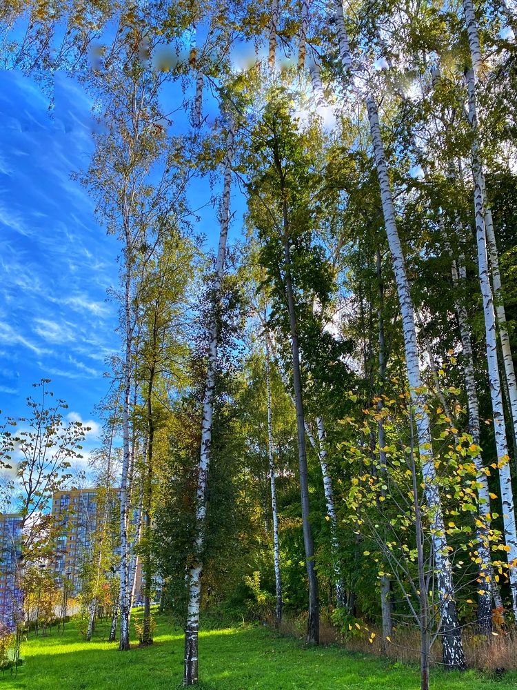 Photograph by Aleksandra