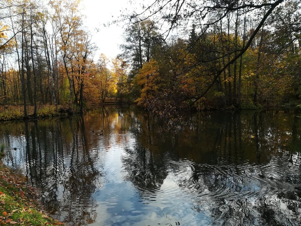 Photograph by Елизавета