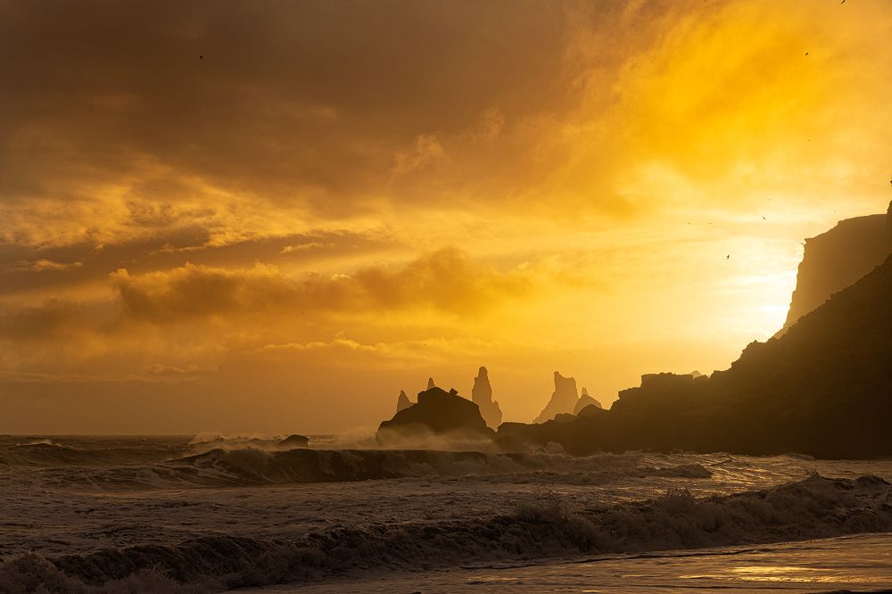 Photograph by Bragi Kort