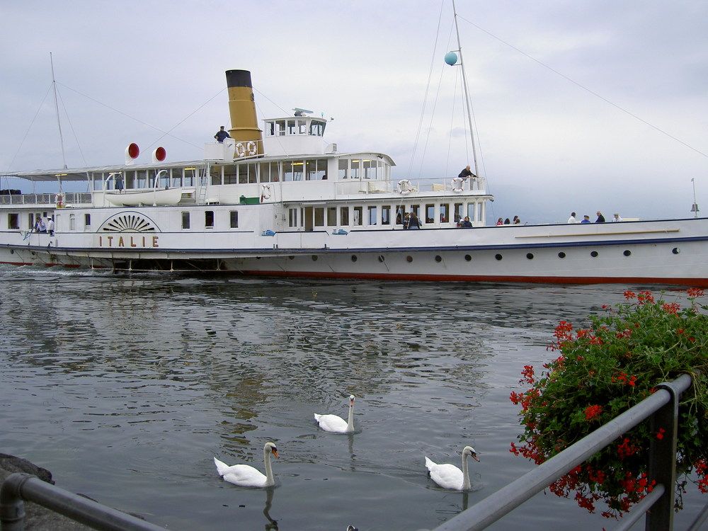 Photograph by Ирина Федичева