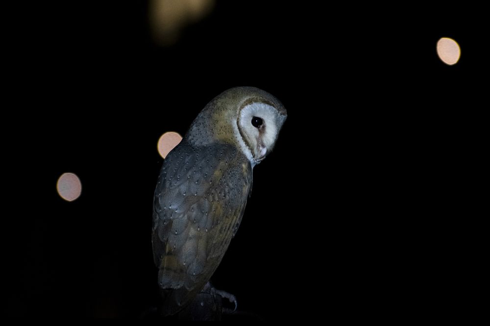 Photograph by Dhaval Solanki