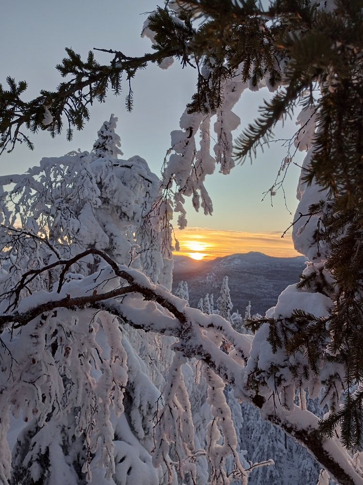 Photograph by Алина Азева