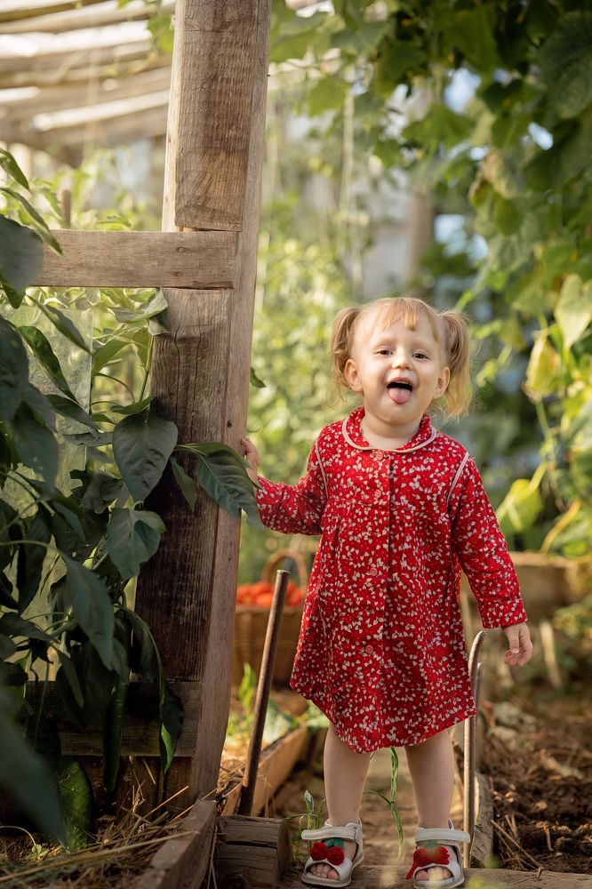 Photograph by Олеся Аполитова