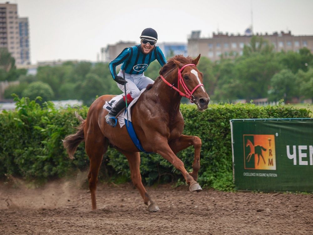 Photograph by Дзись Оксана