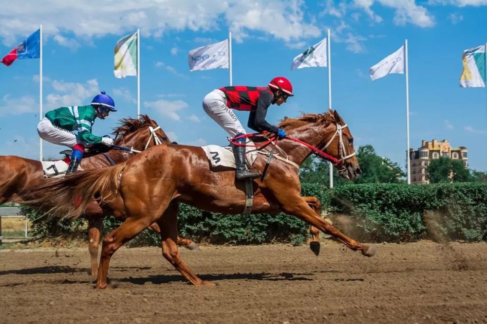 Photograph by Дзись Оксана