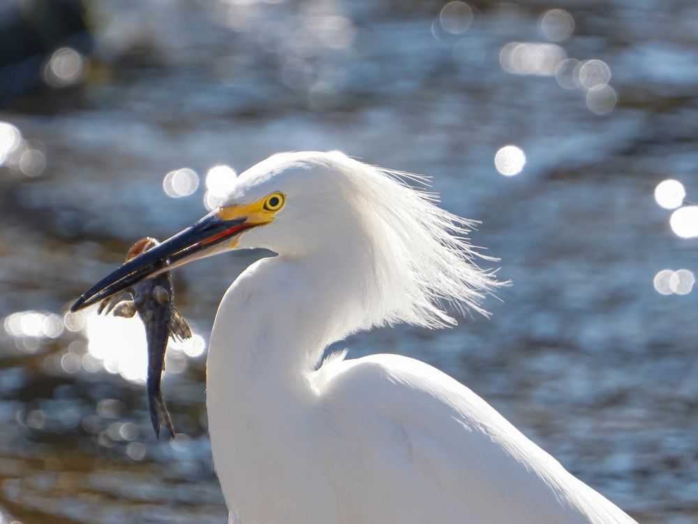 Photograph by Karina Elena Bergagna