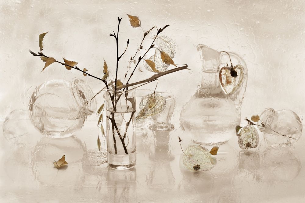 Photograph by Шруб (Беляева) Татьяна