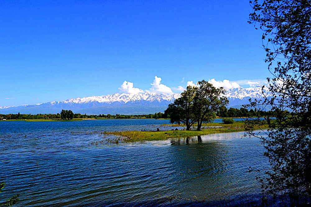 Photograph by Виктор Репников