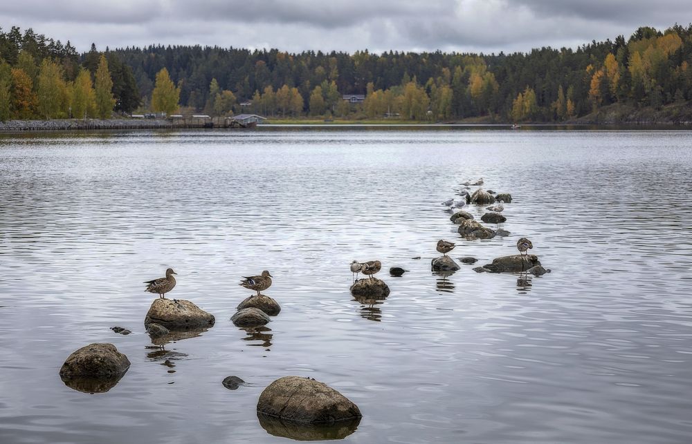 Photograph by Роман Крутов