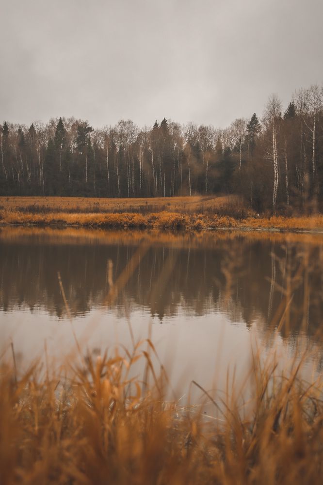 Photograph by Дарья Григорьева