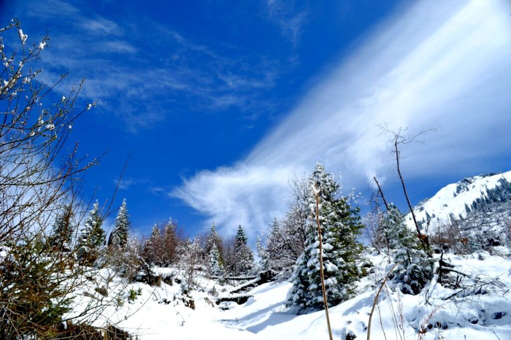 Photograph by Виктор Репников