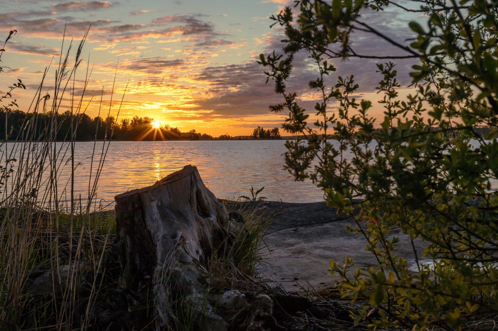 Photograph by Татьяна Тарасова