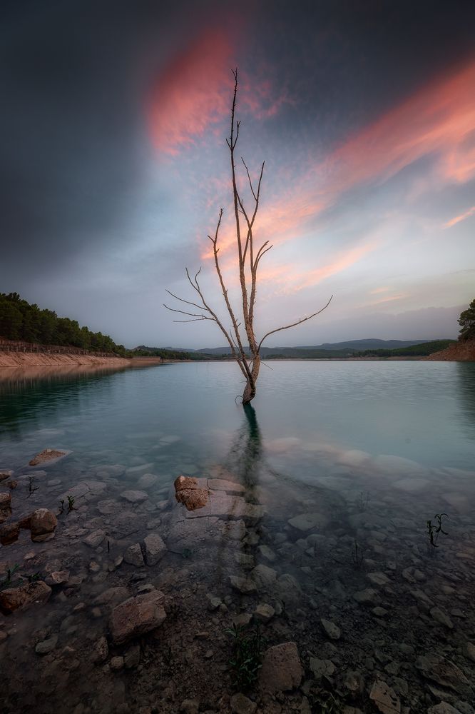 Photograph by Camacho Anto