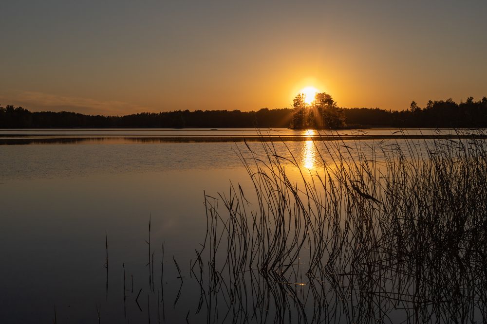 Photograph by Татьяна Тарасова