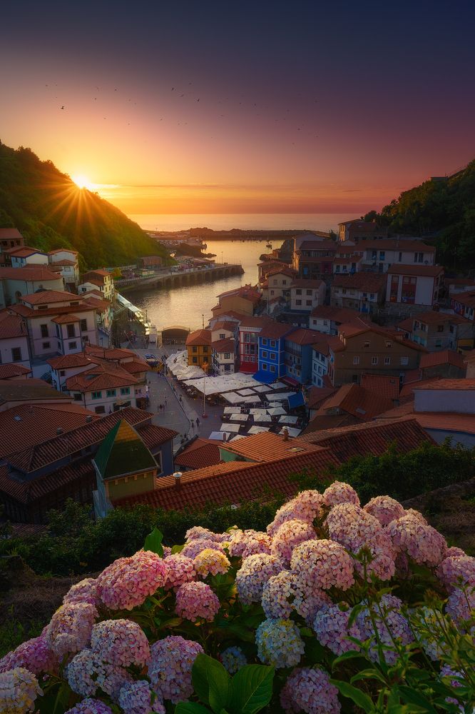 Photograph by Camacho Anto