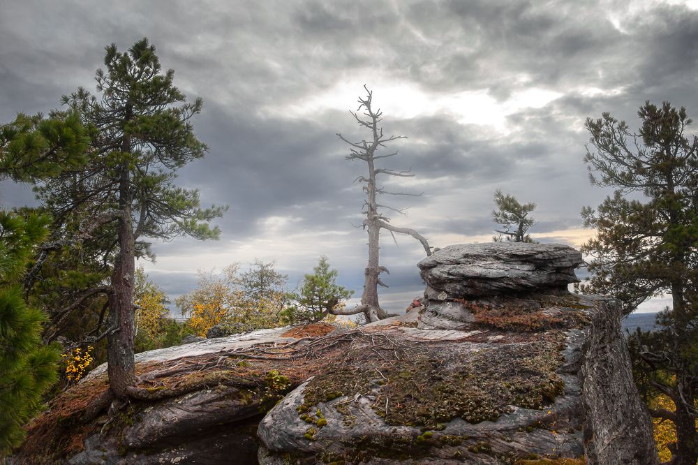 Photograph by Евгений Кузнецов