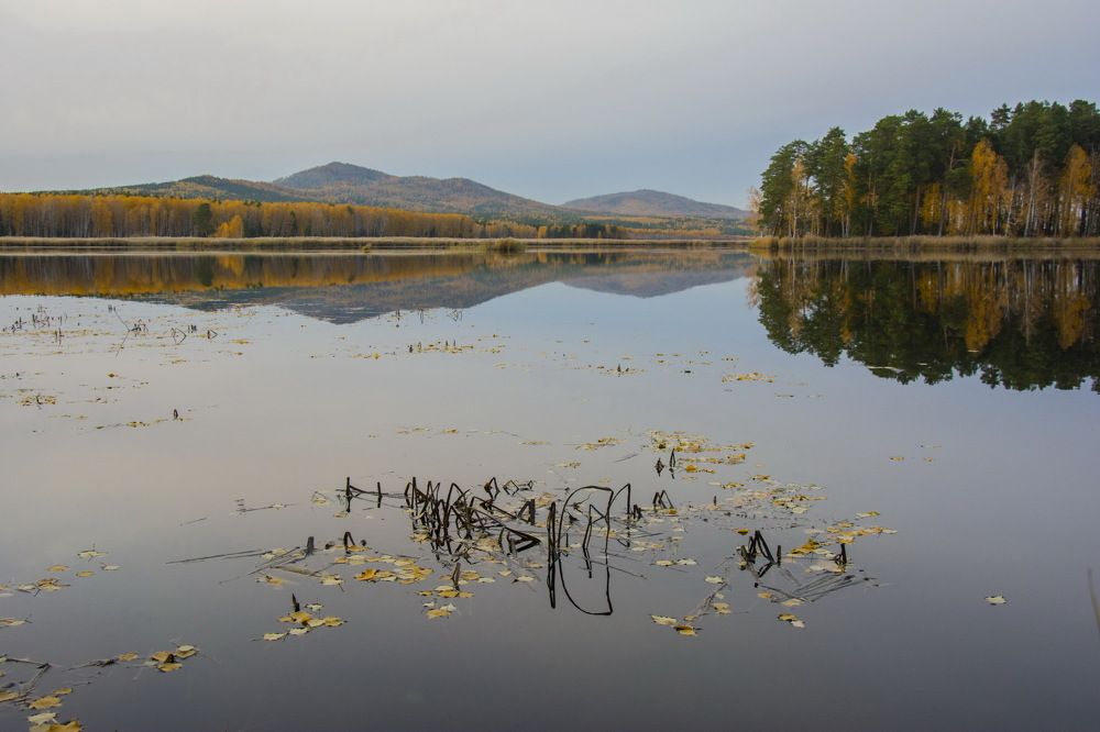 Photograph by ШУЯКОВА ОЛЬГА