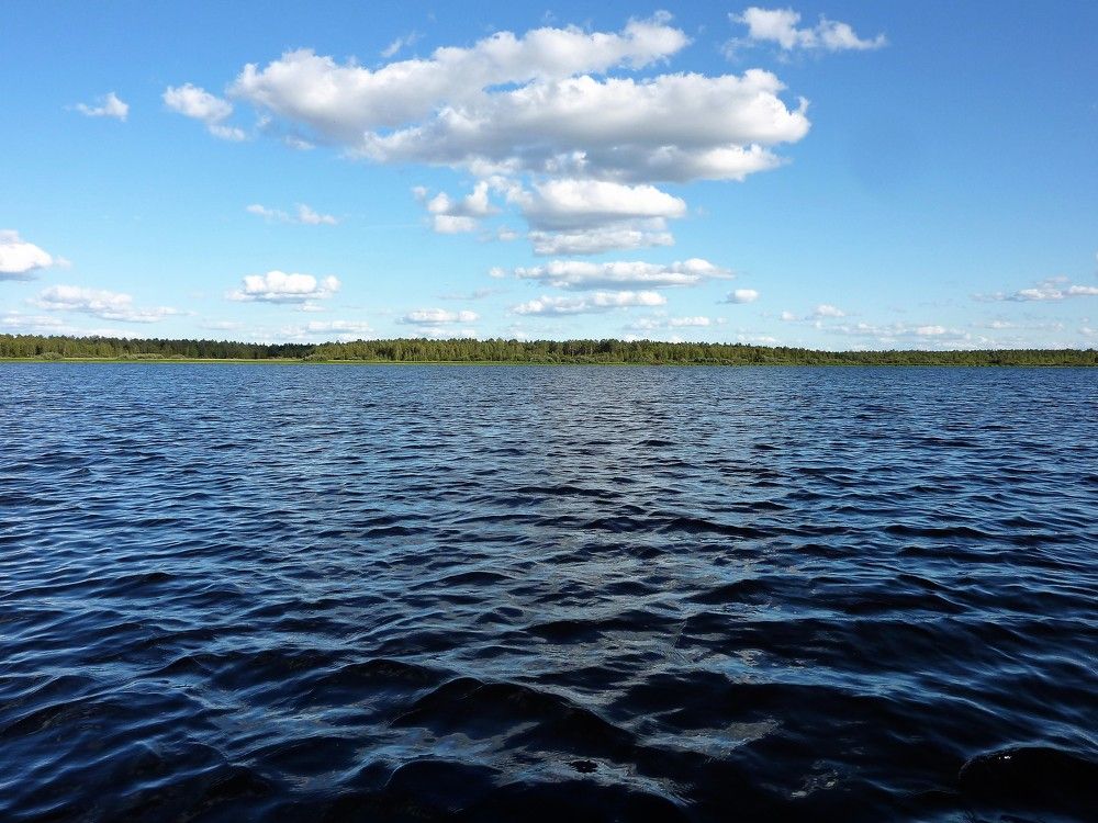 Photograph by Дмитрий Цикин