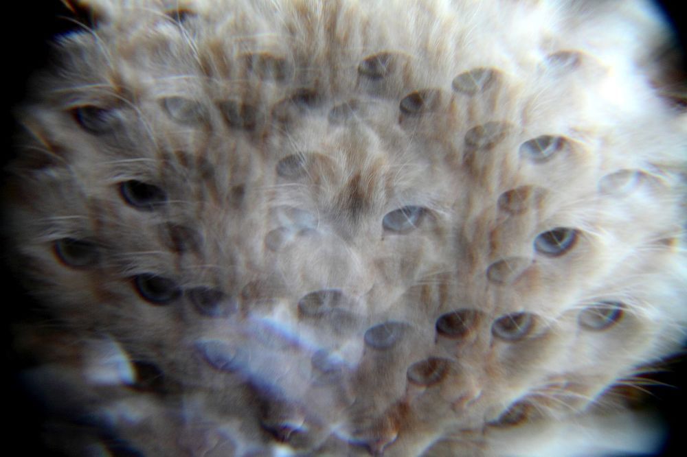 Photograph by Юрий Варюхин