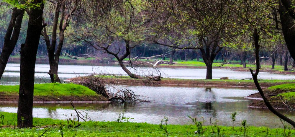 Photograph by Praveen kumar Sampath