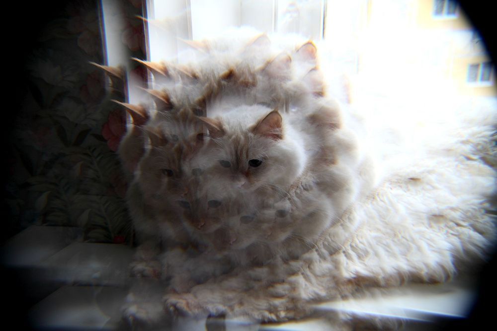 Photograph by Юрий Варюхин