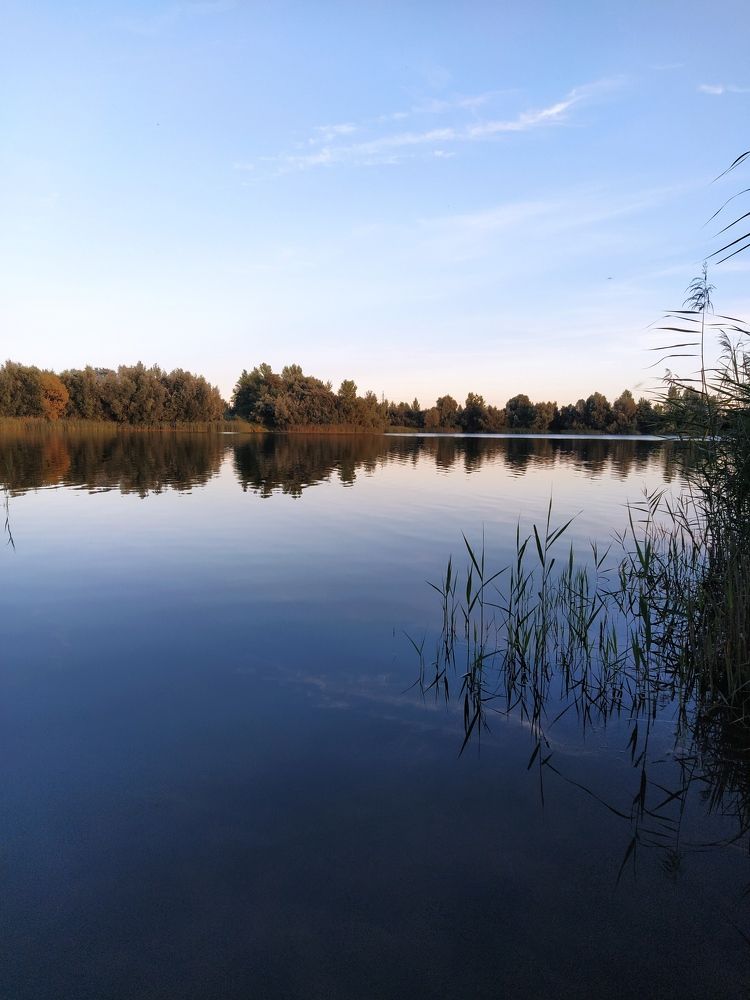 Фотография автора Гвоздецкая Анна