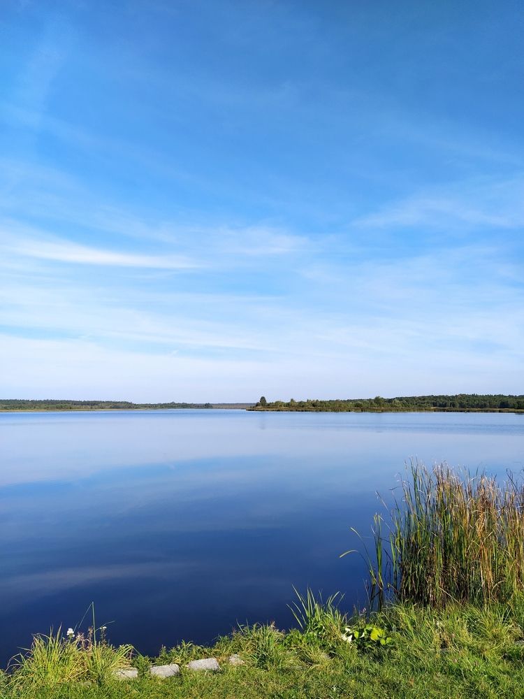 Фотография автора Гвоздецкая Анна