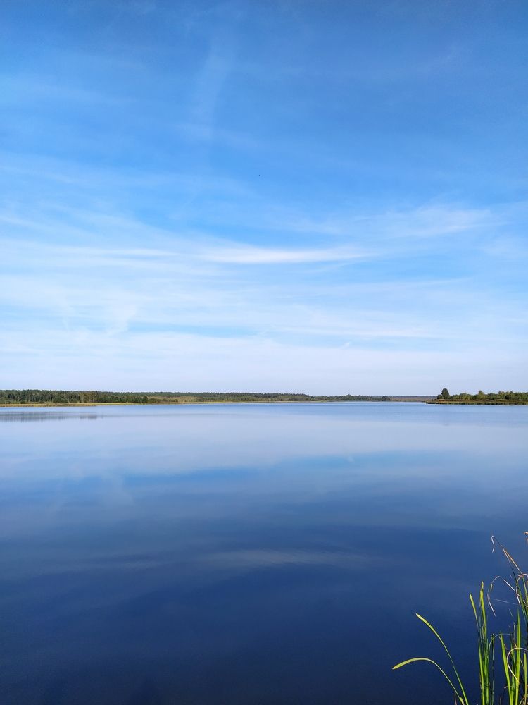 Фотография автора Гвоздецкая Анна