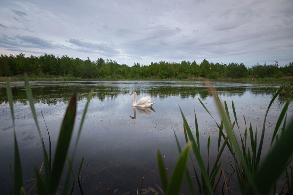 Photograph by Александр Парамонов