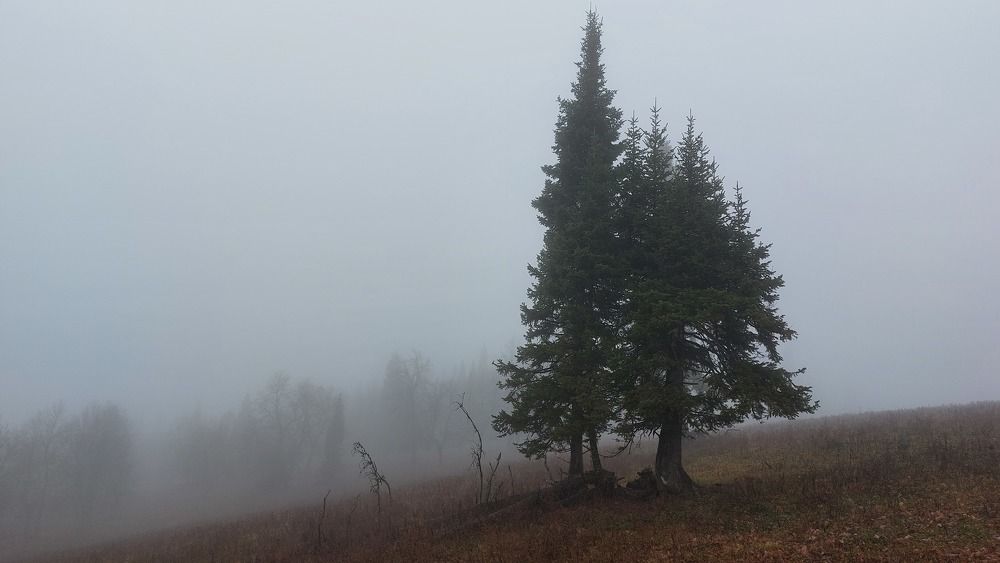 Photograph by Юлия Садовщикова