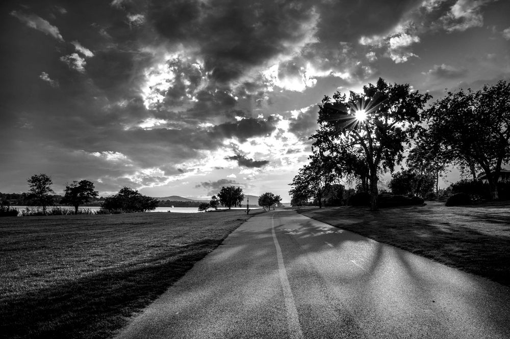 Фотография автора Angela Miller