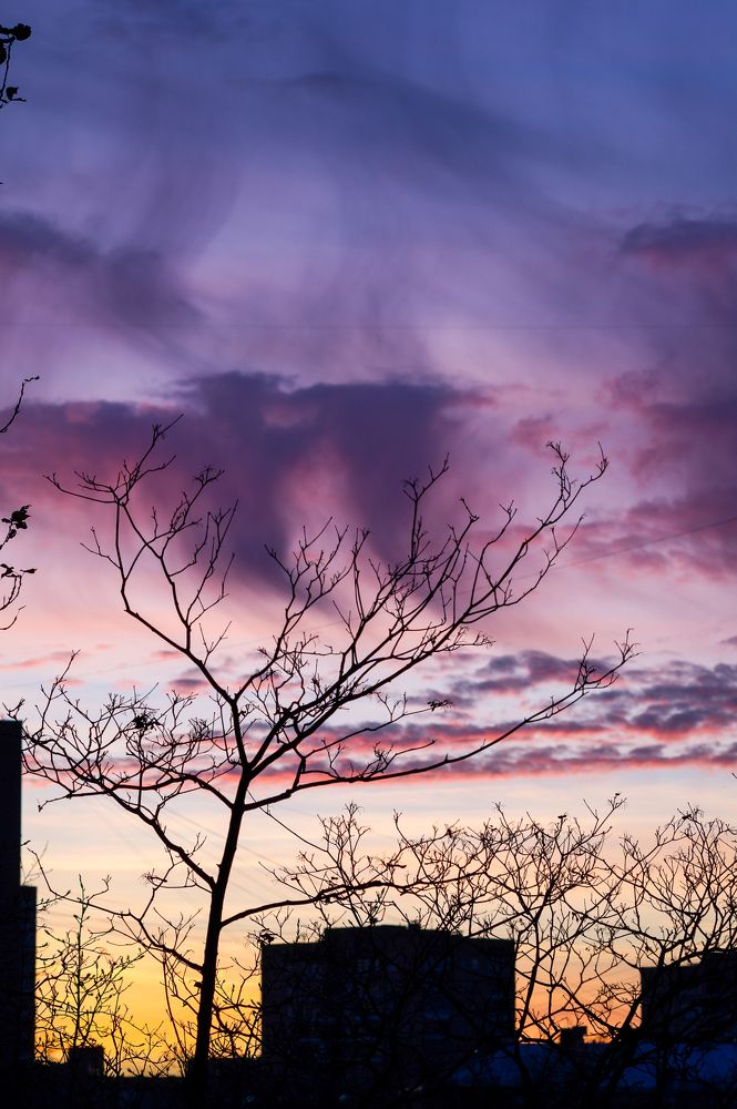 Photograph by Олеся Владимирова