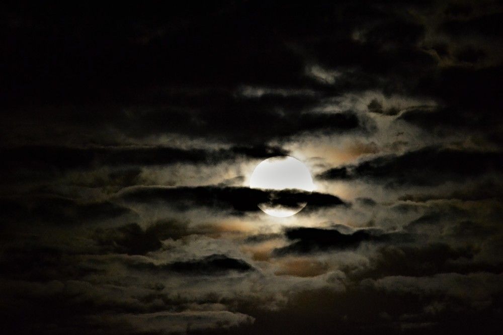 Photograph by Zdeňka Hudcová