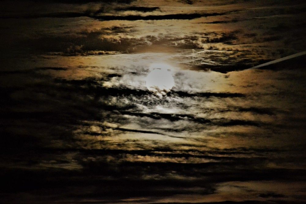 Photograph by Zdeňka Hudcová