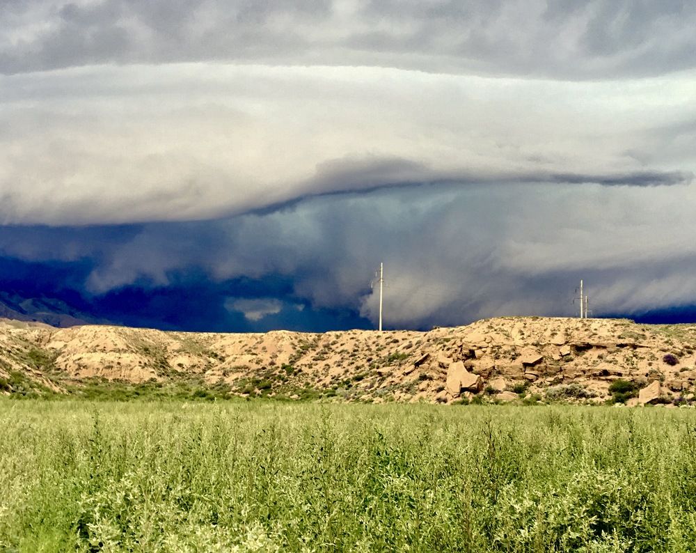 Photograph by Елена Ким