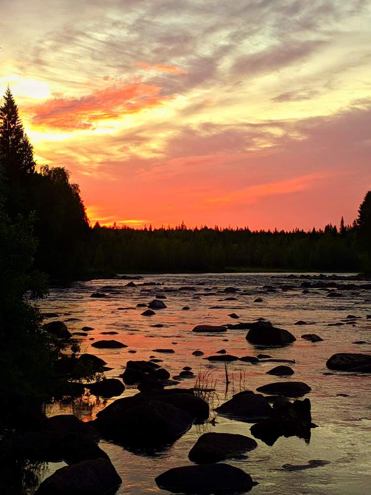 Фотография автора Олеся