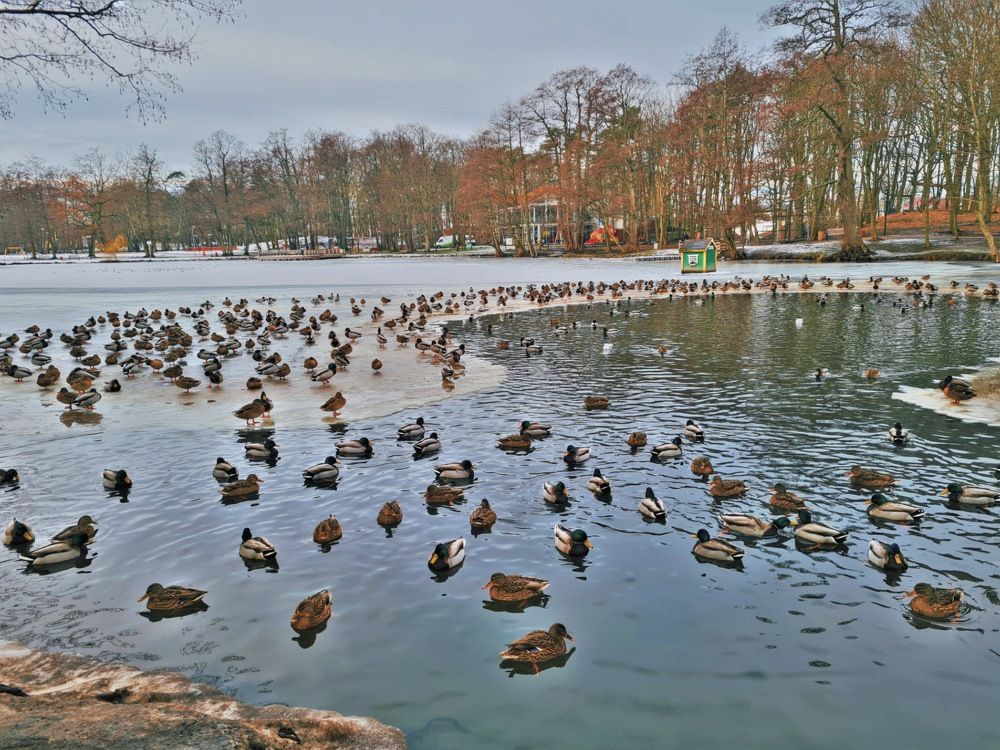 Photograph by Ирина Дубицкая