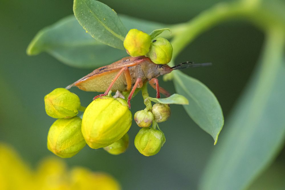 Photograph by Сергей Пак