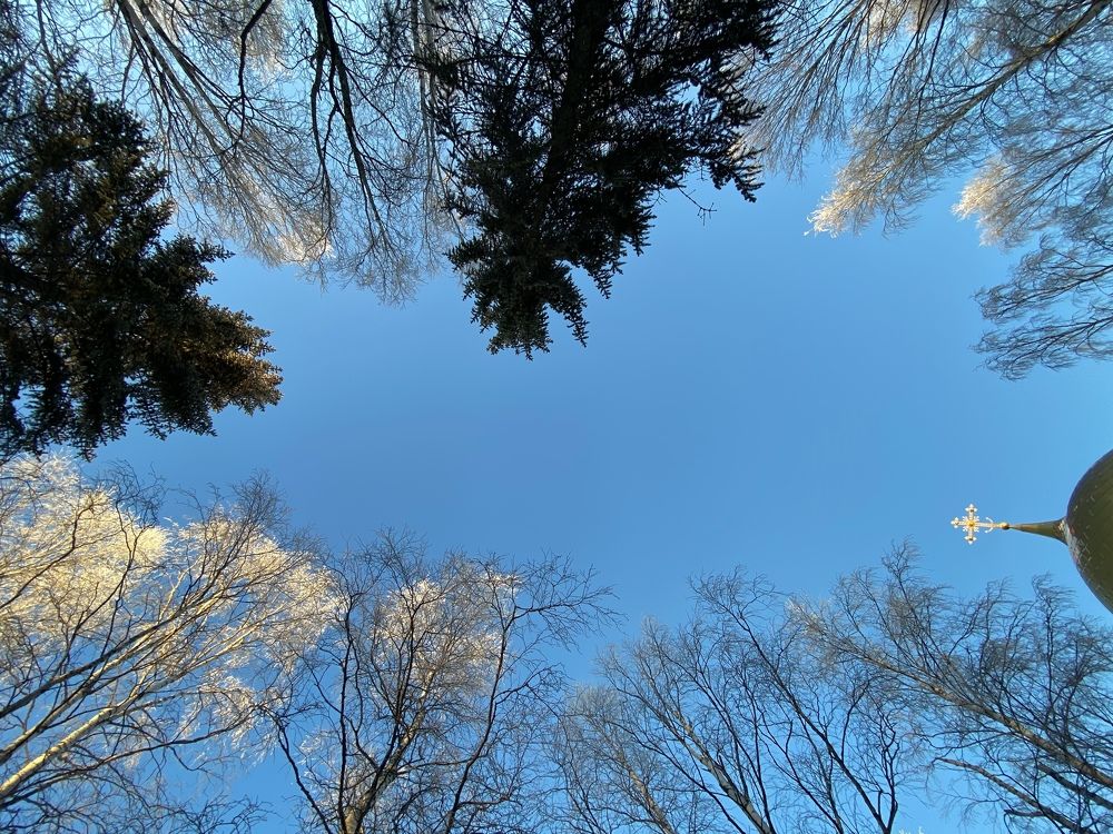 Небо ноября