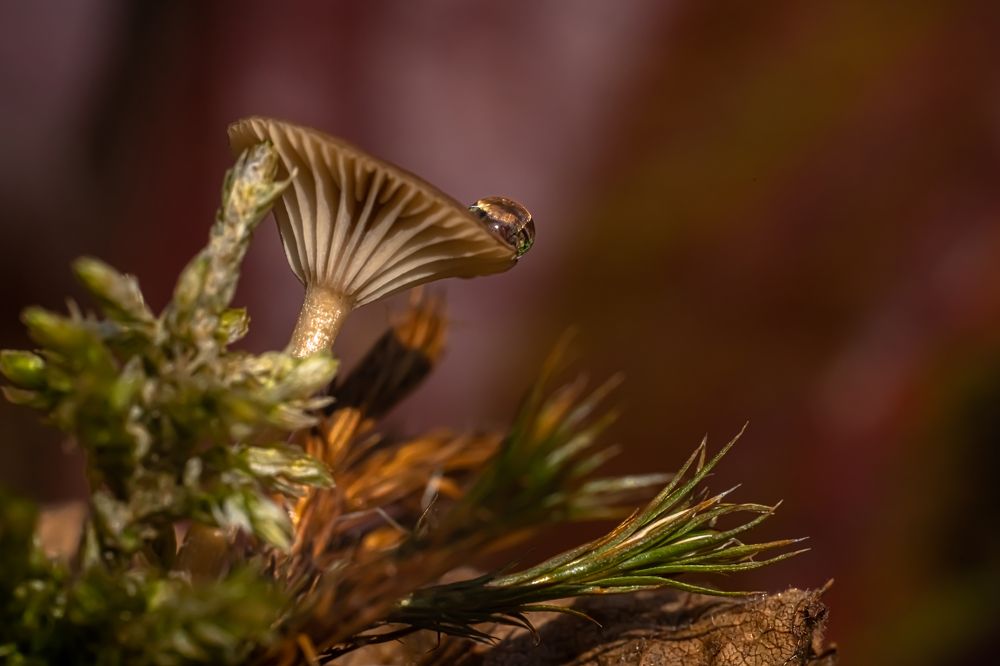 Photograph by Николай Фонарёв