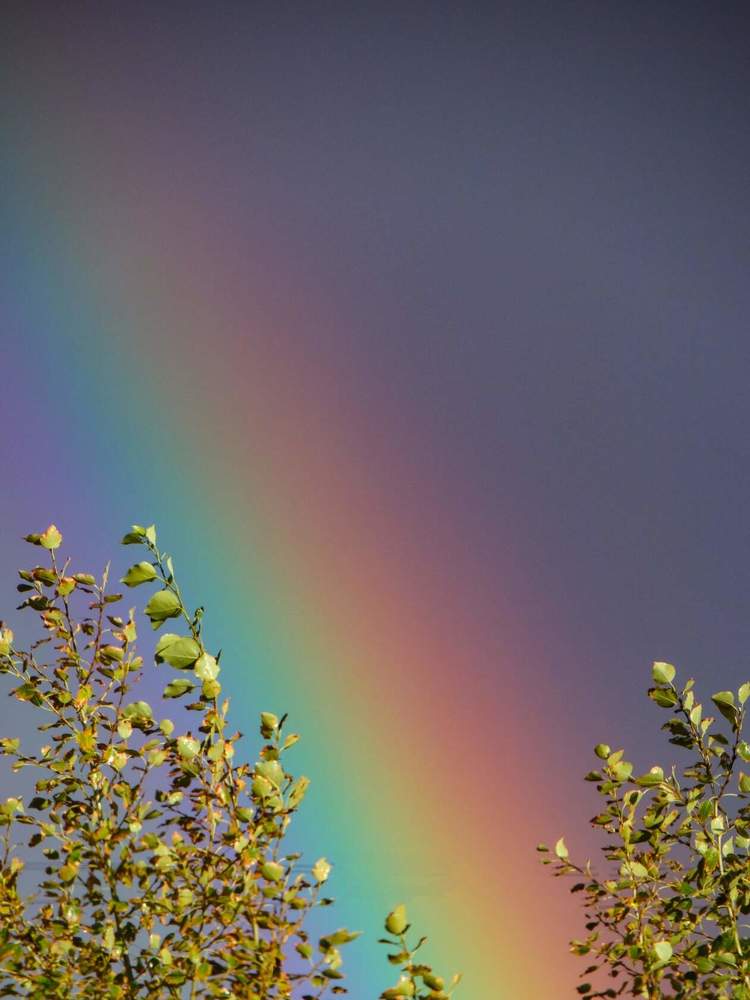 Photograph by Анжелика Трошина