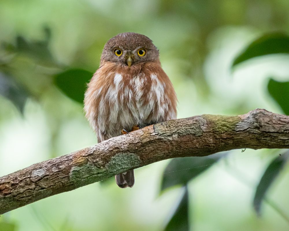 Photograph by Joao R Cortez