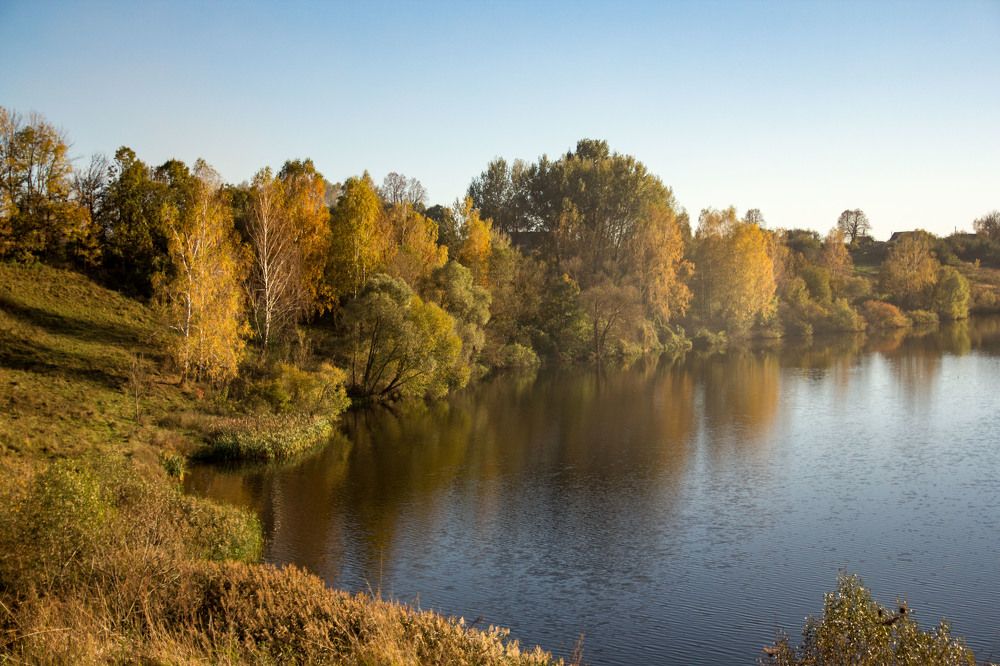 Photograph by Елена