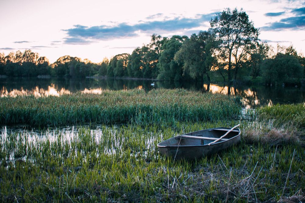 Photograph by Елена