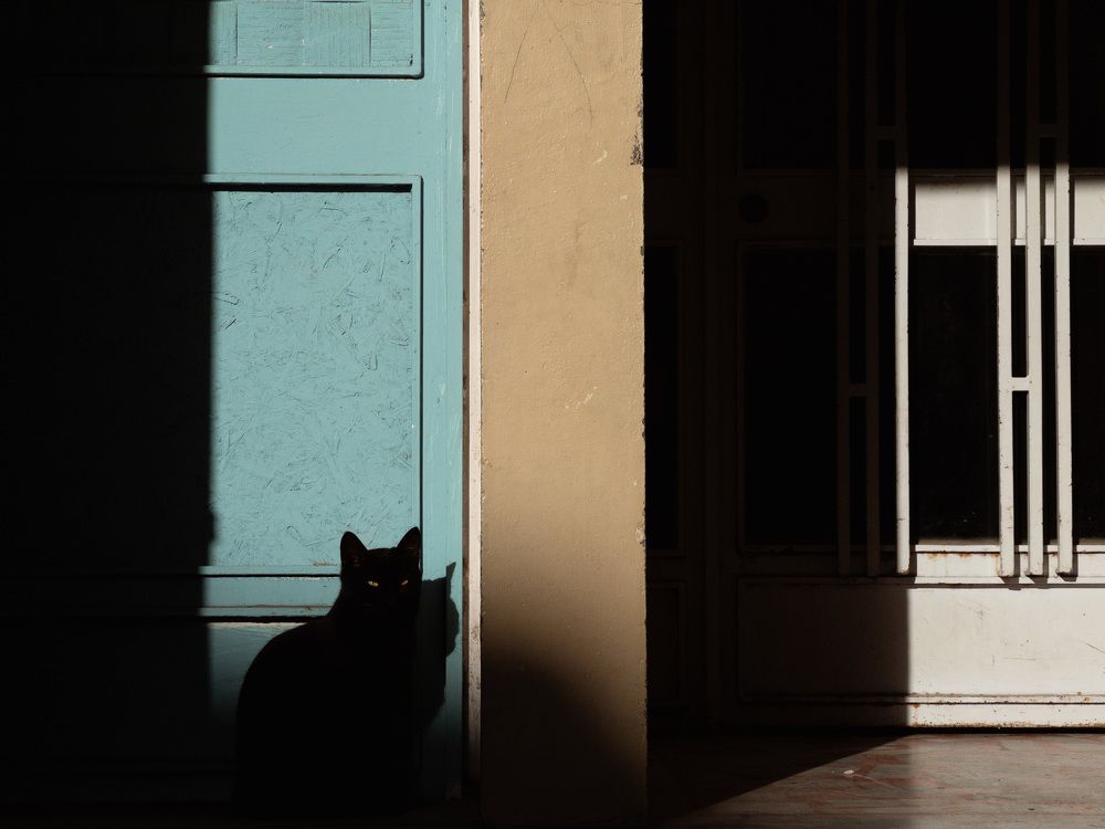 Photograph by Юрий Соболев