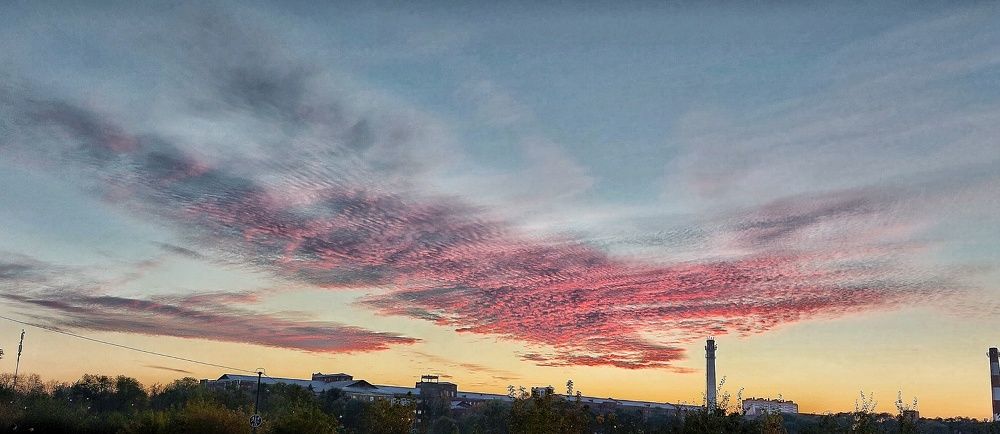 Розовый фламинго в небе Раменья