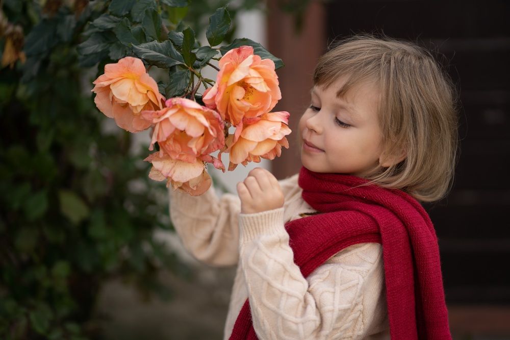 Photograph by Надежда Ермак