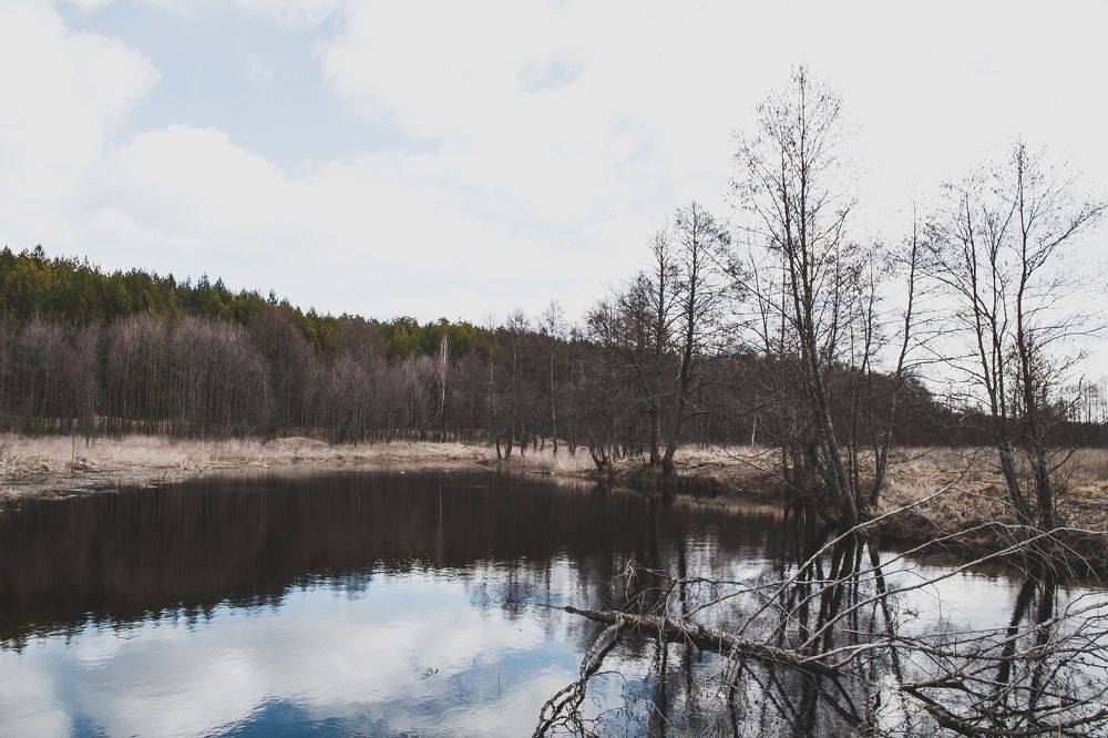 Photograph by Елизавета Большакова